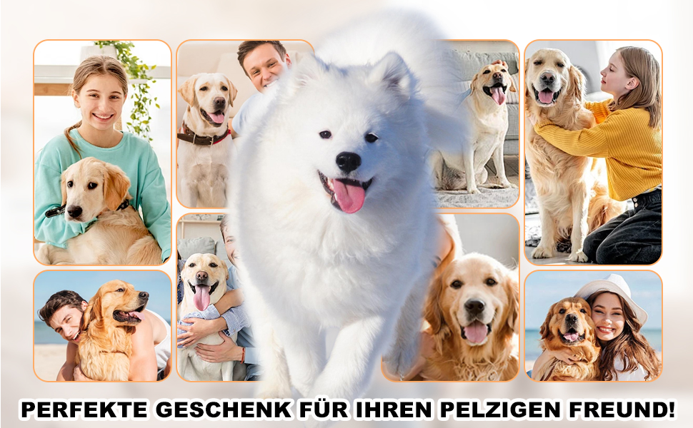 Професійна машинка для стрижки собак та котів з USB-C зарядкою, 2 швидкості, бездротова, для довгого, густого, сплутаного та кучерявого хутра