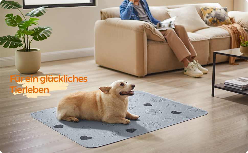 Підстилка для собак Feandrea, 2 шт., XL (122 x 91 см), сіра, водонепроникна, супер вбираюча, для дому