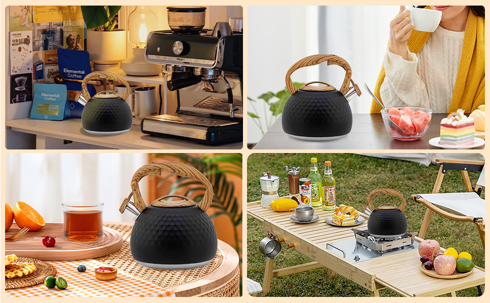 Чайник-свисток Teekessel з нержавіючої сталі, для всіх типів плит