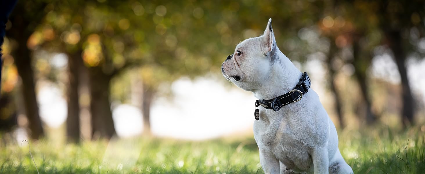 Преміум шкіряний поводок для собак Jack & Russell Dexter, 2.0м - поводок з натуральної шкіри, регульований, чорний