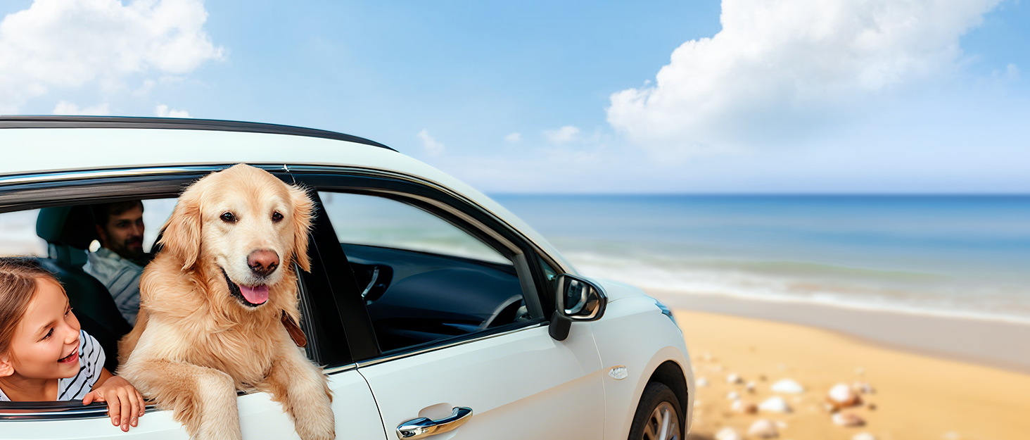 Захист для автосидіння для собак MellowMates: водовідштовхувальний, з жорсткою основою, боковими захистами та оглядовим вікном. Підходить для SUV та мінівенів.