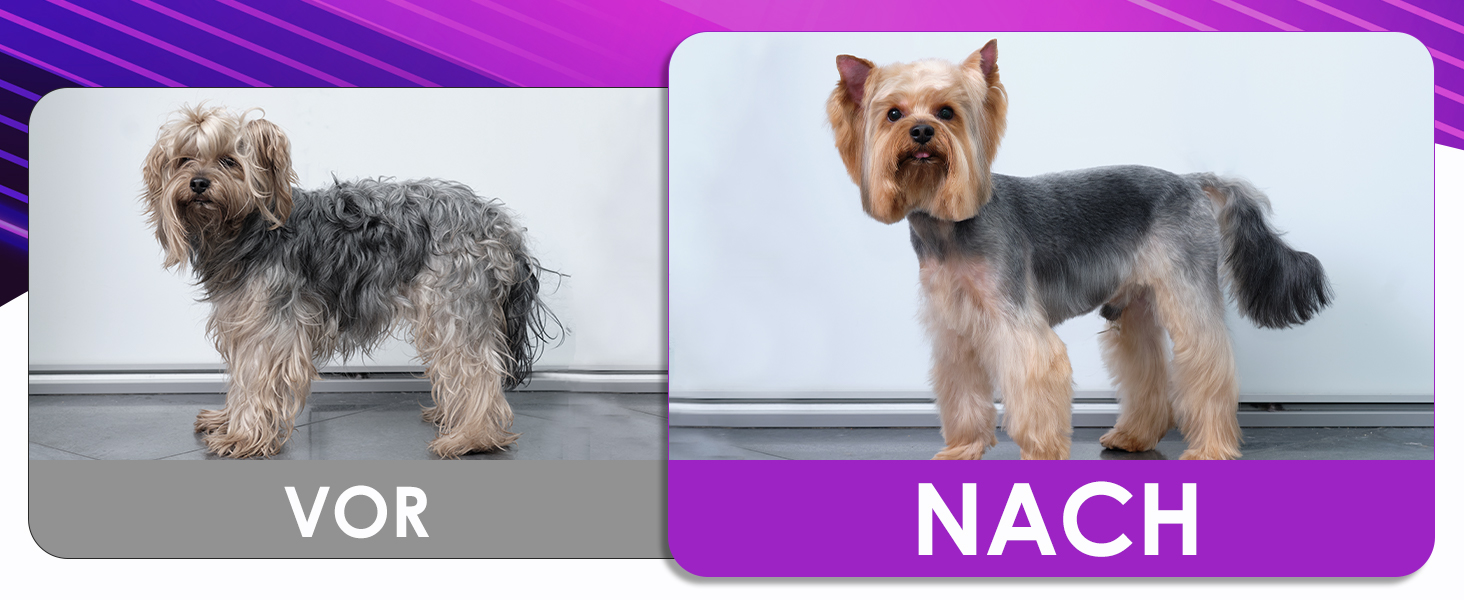 Набір професійних ножиць для грумінгу собак 5шт (фіолетовий)