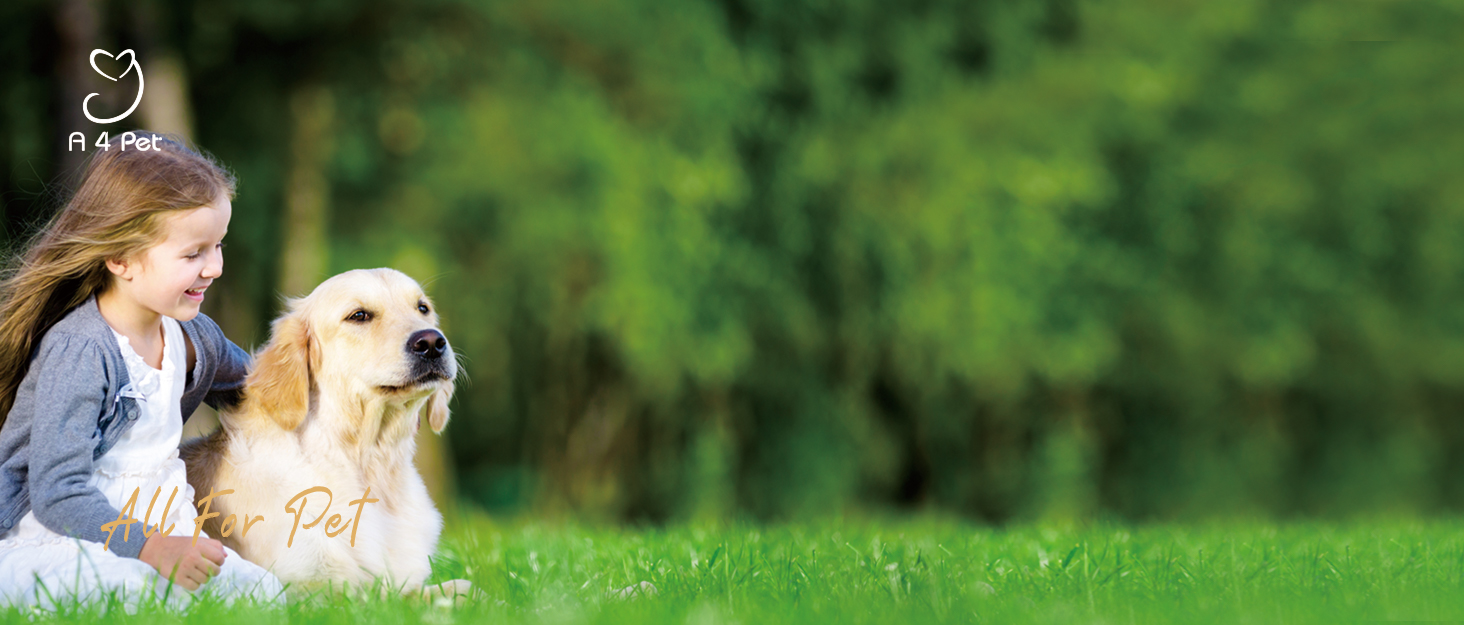 Клітка-вигул для цуценят та котів 4 Pet, складана, для дому та вулиці, з мискою, блакитно-біла