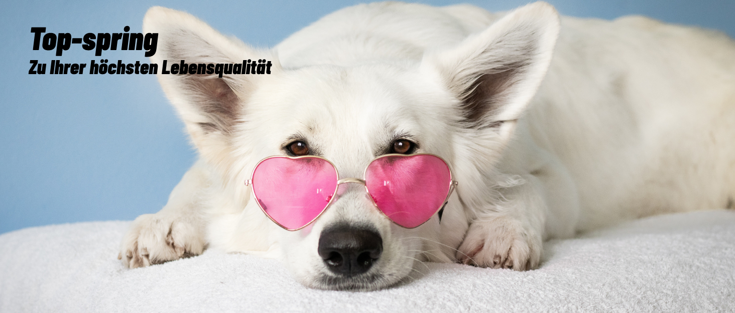 Набір для чищення унітазу 2 шт. з пластиковою ручкою та м'якою щетиною, 4 насадки, ергономічний дизайн, сірий колір