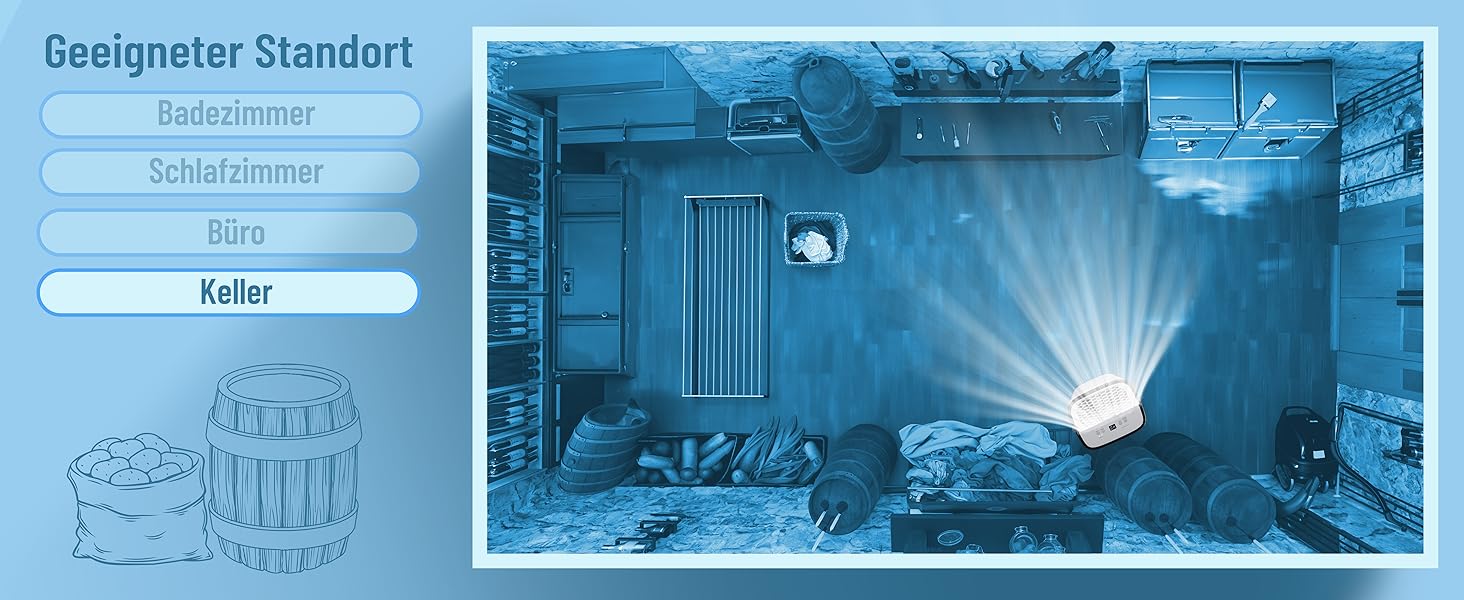 Noaton® DF 4212: Електричний осушувач повітря 13,2 л/24г з відводом, автовимкненням, тихий, для 45 м², таймер, бак 2,1 л, для квартири, підвалу