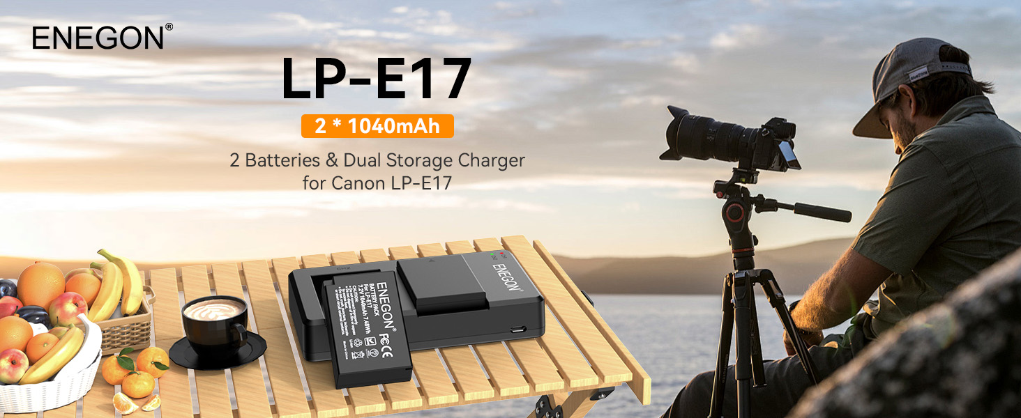 Акумулятор для камери Canon LP-E17 ENEGON з зарядним пристроєм Dual Micro USB (2 шт.)