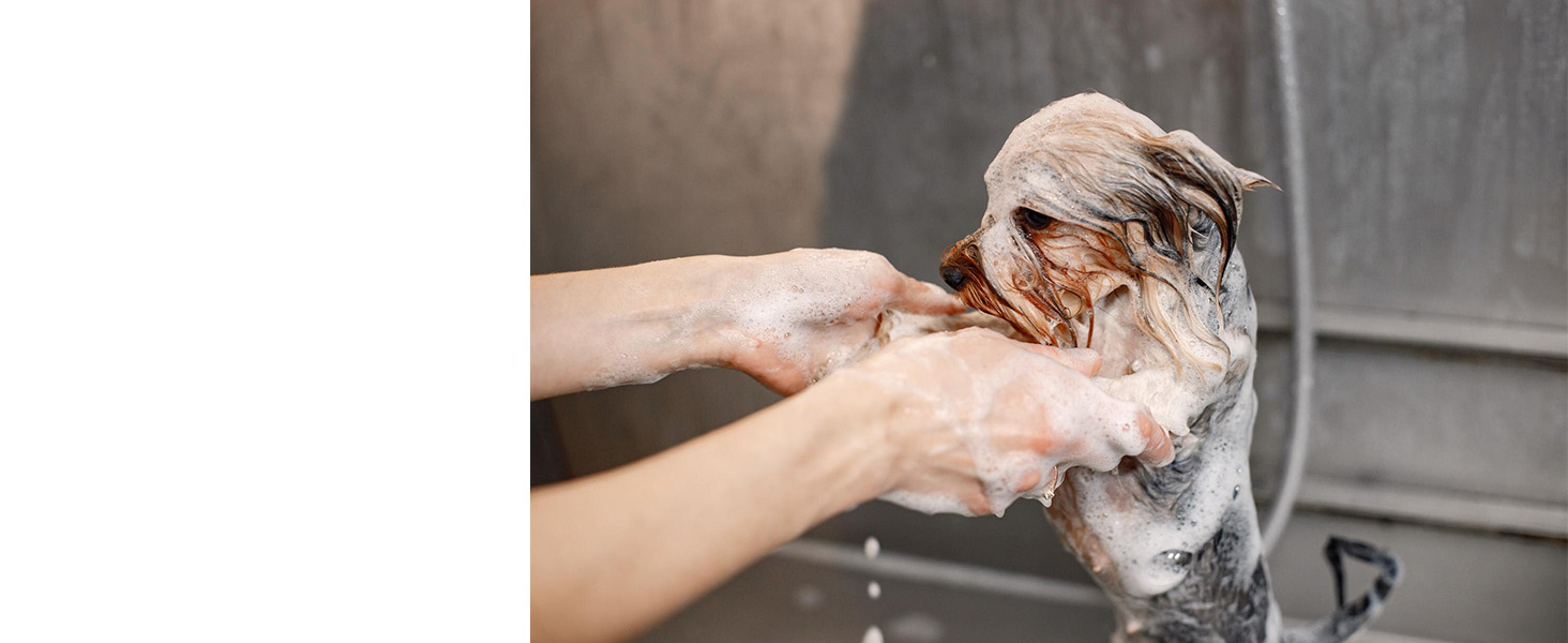 Професійна машинка для стрижки шерсті тварин Tierhaar: безшумна, акумуляторна, бездротова, для котів, собак, коней. Комплект професійного грумера