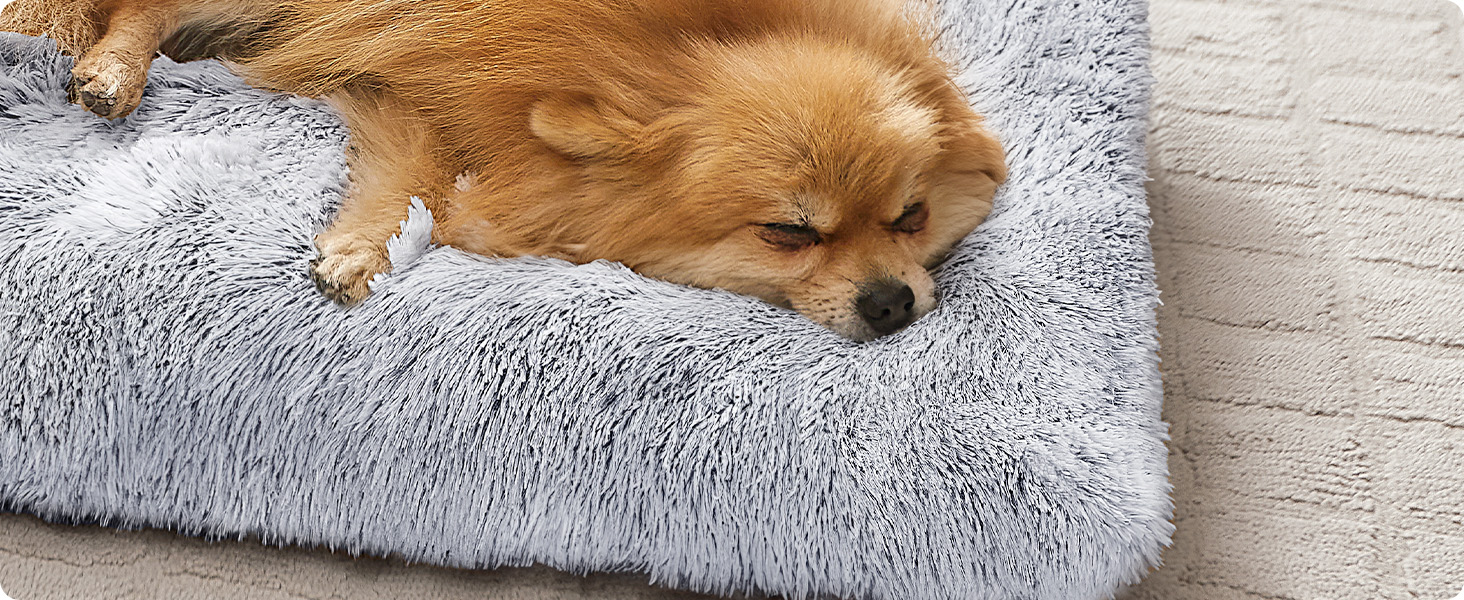 Крісло-лежанка для собак Feandrea, м'яке, 65 x 45 см, плюшеве, машинне прання, багатофункціональне, Ombré Grey