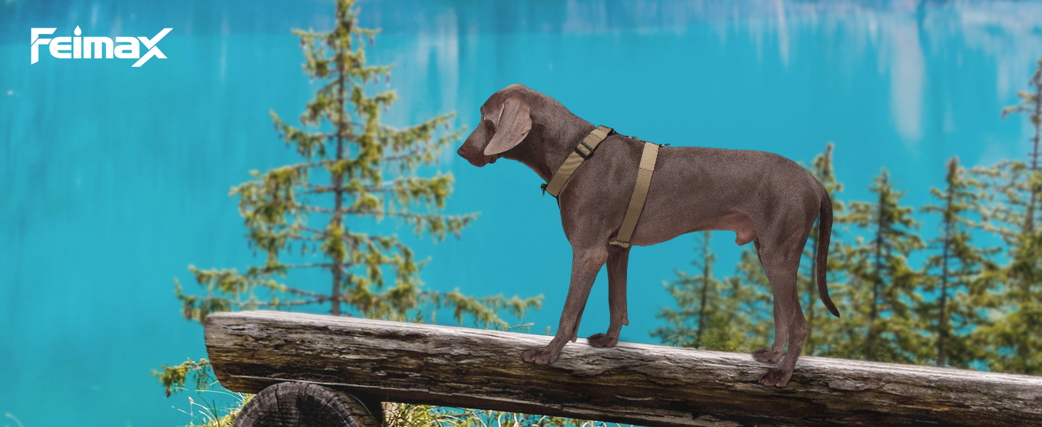 Нашийник для собак FeimaX для великих порід, тактичний, дихаючий, зручний, міцний, безпечний, хакі (M)