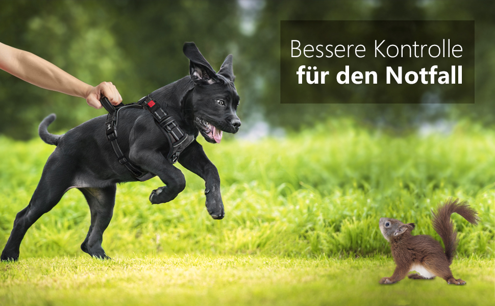 Шлейка для собак PoyPet Front Reflektive з ручкою для контролю та світловідбиваючими елементами, чорна, розмір S