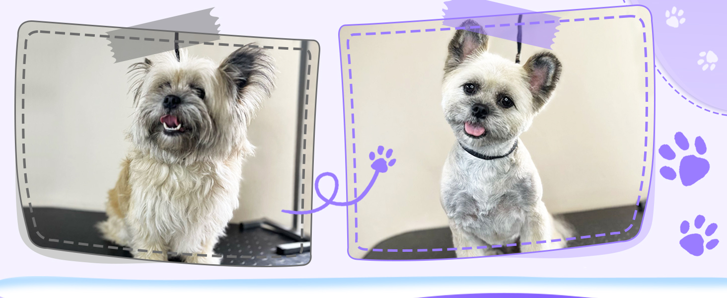 Професійний набір ножиць для грумінгу собак Moontay 7 дюймів: ножиці для грумінгу, випрямні, зігнуті, для розрідження, фіолетовий