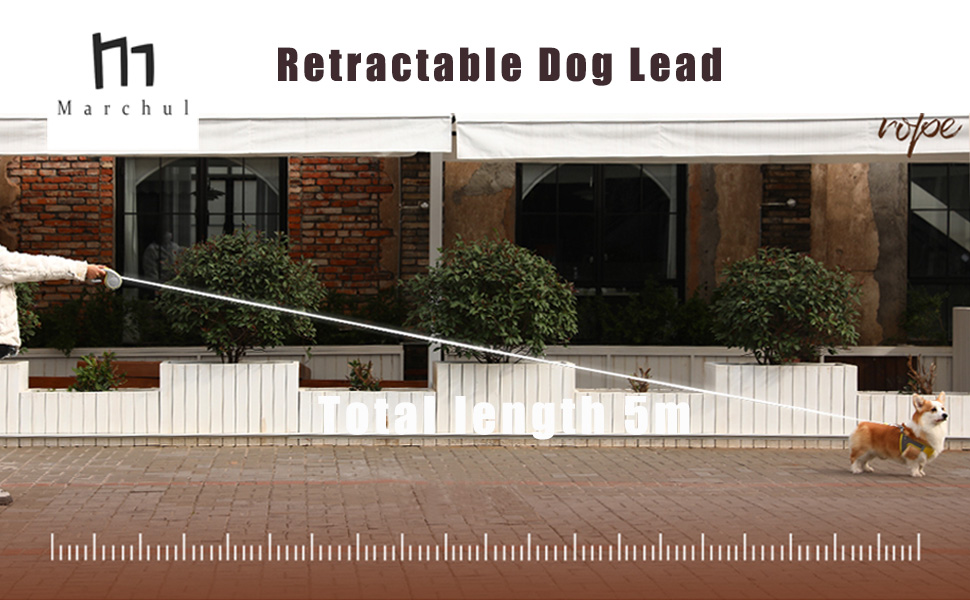 Висувна поводок для собак Marchul, 5 м, для собак до 30 кг, поводок без перекручування 360°, міцний нейлоновий трос, висувний поводок, гальмо однією рукою, пауза, блокування, білий та сірий
