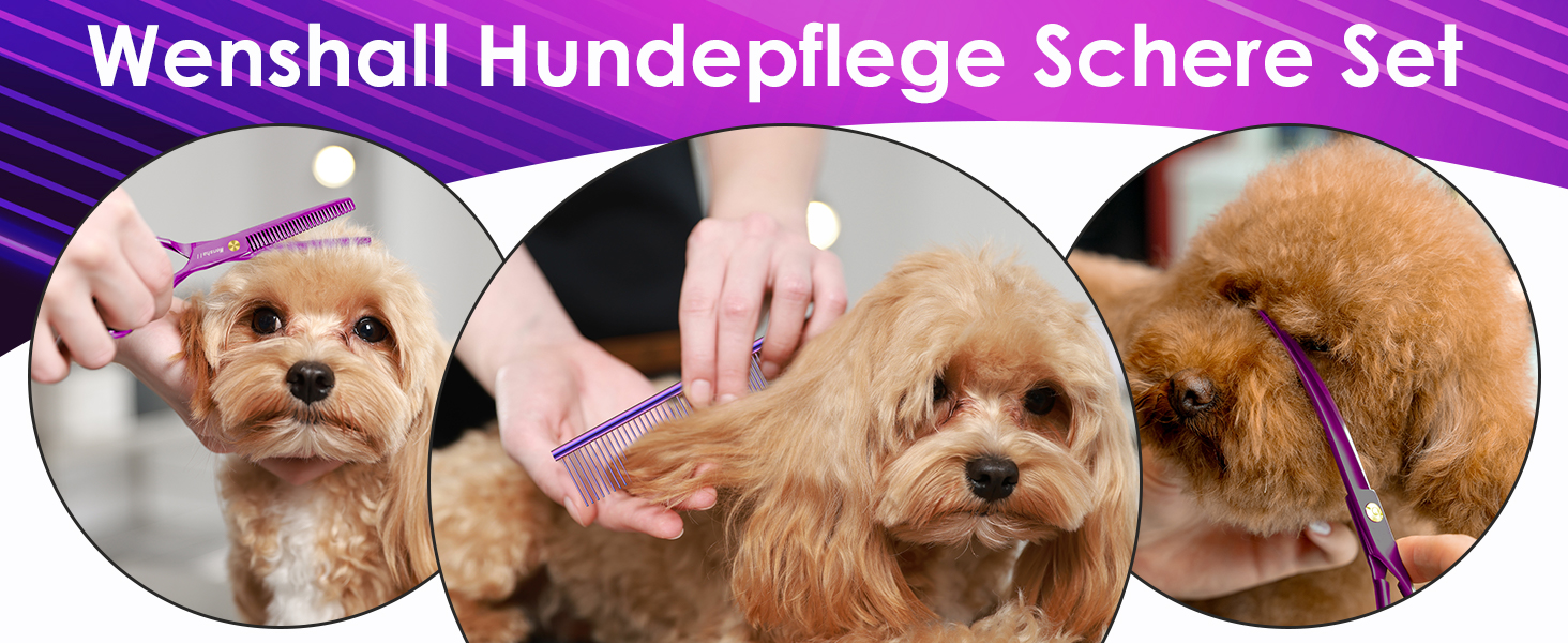 Набір професійних ножиць для грумінгу собак 5шт (фіолетовий)