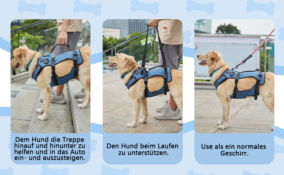 Підтримка для собак COODEO - дихаючий реабілітаційний пояс для літніх собак з проблемами суглобів, артритом або паралічем, повна підтримка тіла з регульованими ручками (Блакитний, L)