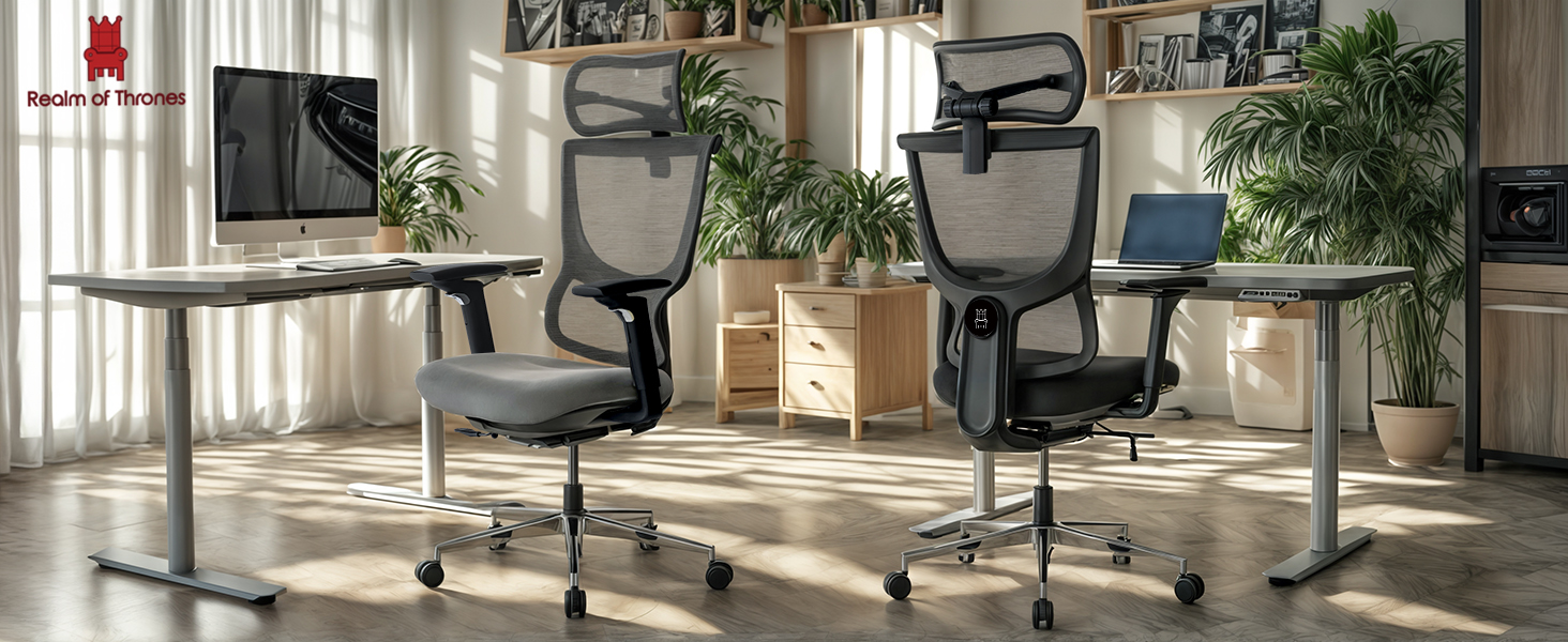 Офісний стіл Realm of Thrones CAPTAIN Deluxe: ергономічний стілець з регульованою поперековою підтримкою, дихаюча спинка, комфортне сидіння, сталева база, відкидні підлокітники (сірий)
