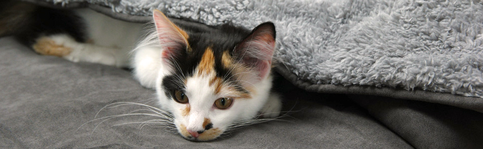 Декоративний плед для собак та котів з вишивкою імені, персоналізований, 4 кольори, м'який, двосторонній, з тедді-фактурою (сірий)