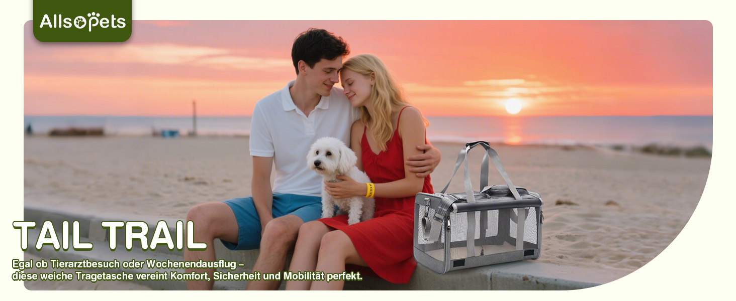 Транспортна сумка для котів та маленьких собак ALLSOPETS, до 9 кг, блакитна