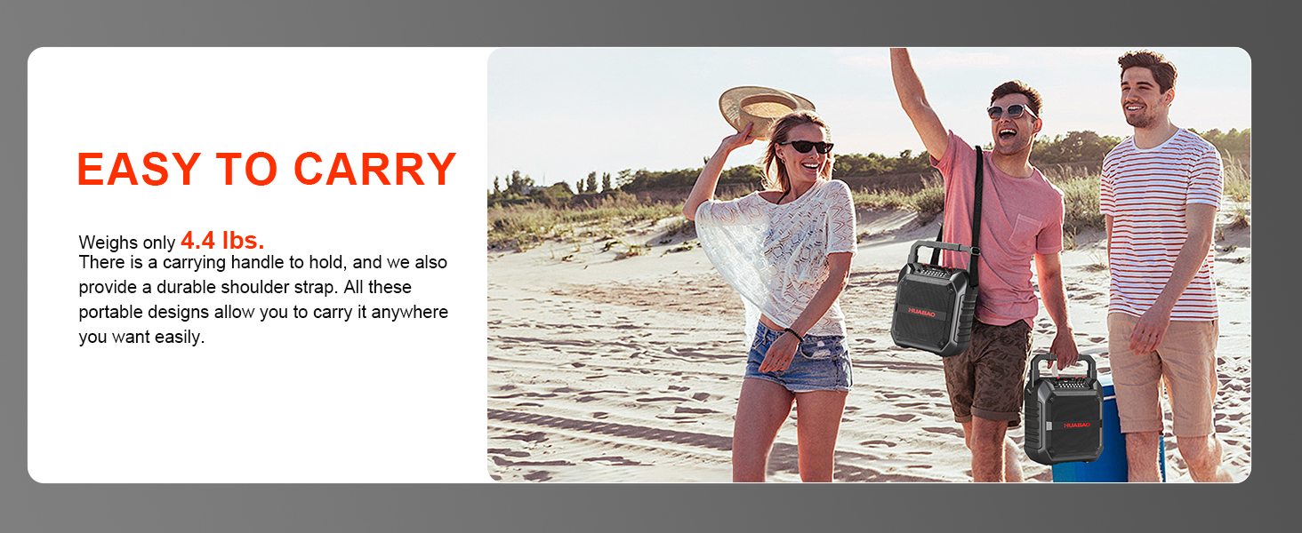 Портативна караоке-машина з Bluetooth, мікрофоном та підключенням TF/USB/FM/AUX для дому та вечірок (2 мікрофони)