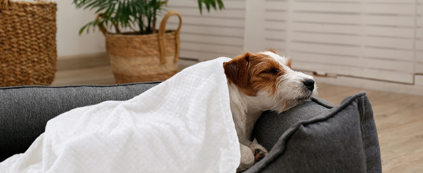 Двошарові ковдри для собак та котів SLSON, 70x100 см (сірий та білий)