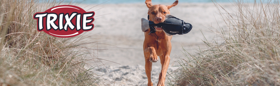 Світловідбиваючий нашийник для собак TRIXIE L-XL блакитний - безпечні прогулянки в темряві, перезаряджається, регулюється