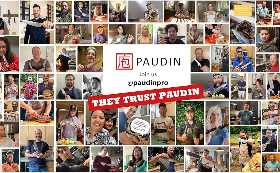 Набір кухонних ножів Paudin 14 предметів з нержавіючої сталі 1.4116 з дерев'яним блоком, точилка та ножиці, нержавіючий, надзвичайно гострий, для дому та професійного використання, FDA, ідеальний як подарунок (сріблястий)