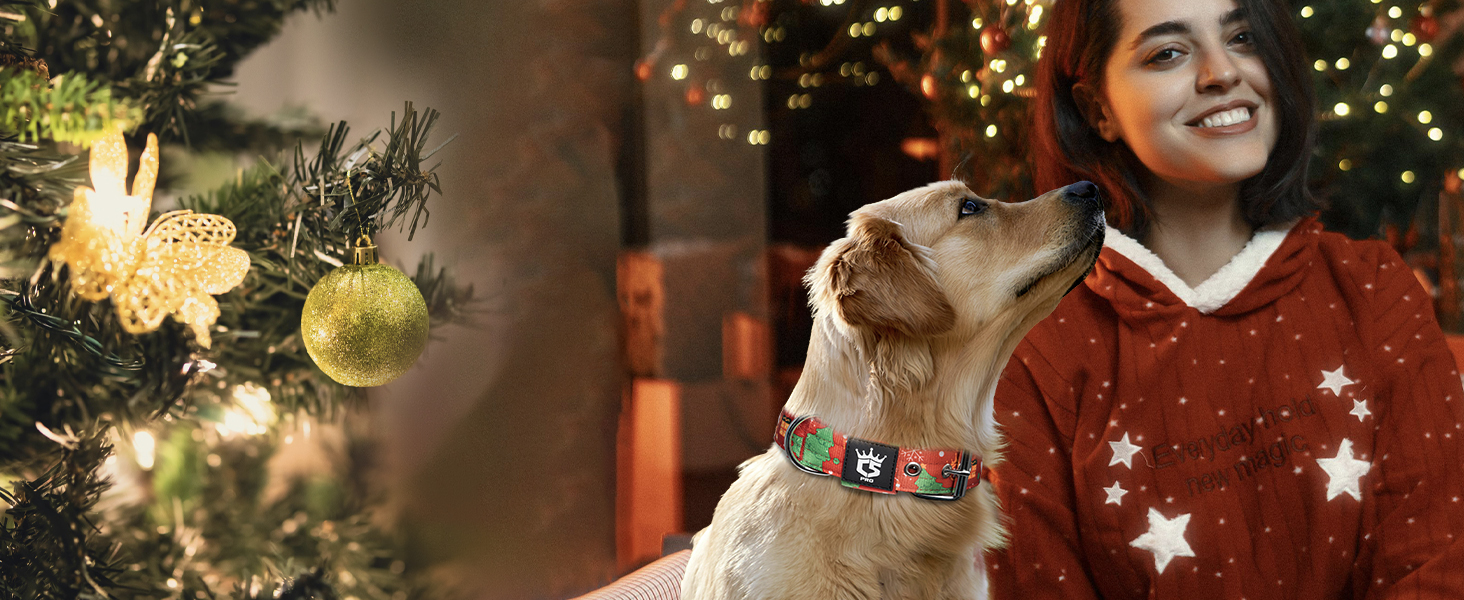 Тактичне нашийник для собак TSPRO, міцний, з металевою застібкою, 3.8 см, регульований, для середніх та великих собак (розмір M, 40-48 см), колір: фіолетовий