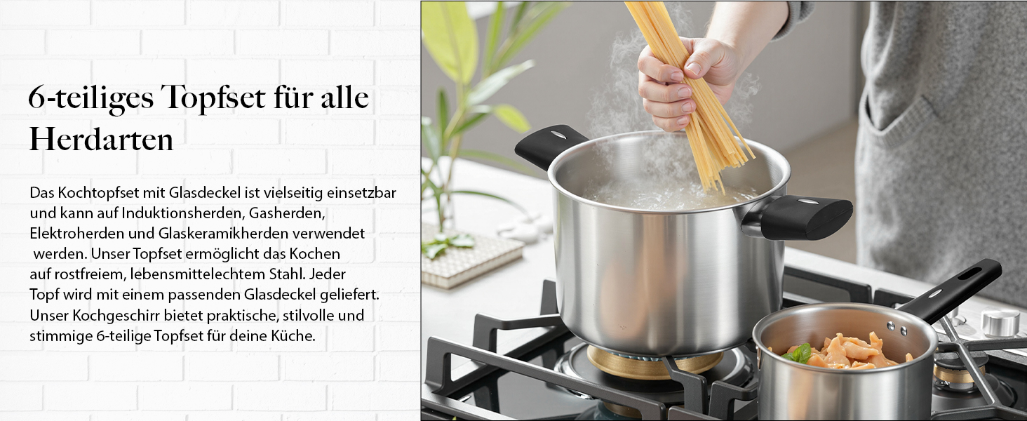 Набір каструль 6-ти частинний з нержавіючої сталі для індукційних плит, Cookware Set, без антипригарного покриття, сумісний з усіма типами плит, з кришкою та захистом від опіків, придатний для миття в посудомийній машині