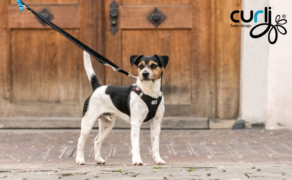 Шлейка для собак Curli Clasp Softshell чорна XS