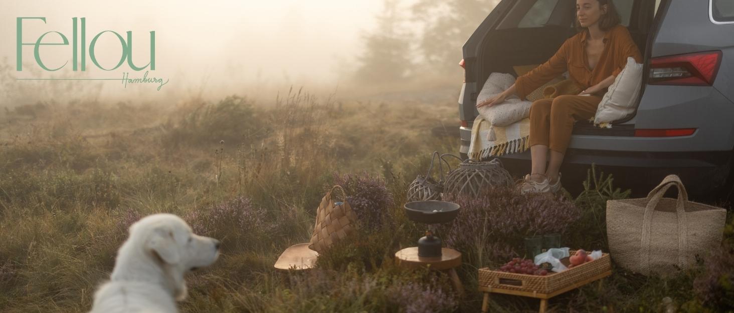 Самогріюча ковдра для собак Fellou 90 x 64 см - тепла, миюча, без хрускоту, бежева