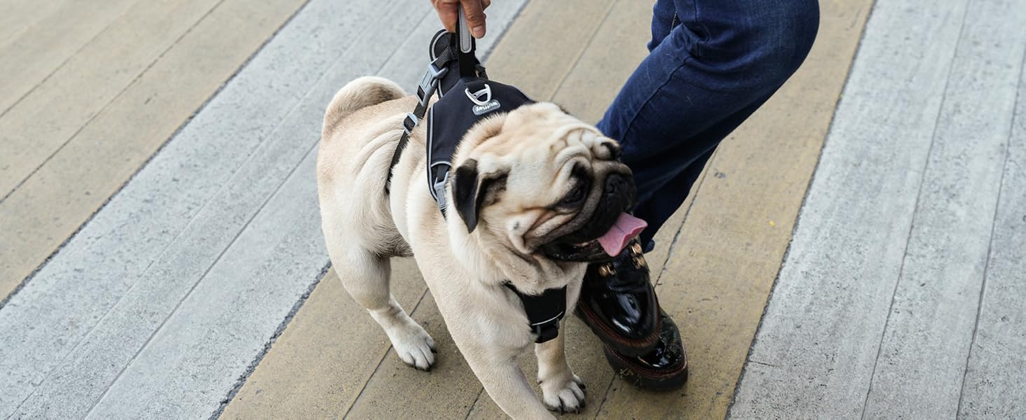 Нашийник для собак з повідком, безпечний нашийник від виривання, анти-тяговий нашийник з ручкою та світловідбиваючими елементами, легкий, регульований нашийник для середніх собак (Чорний, XS). Дуже маленький, чорний