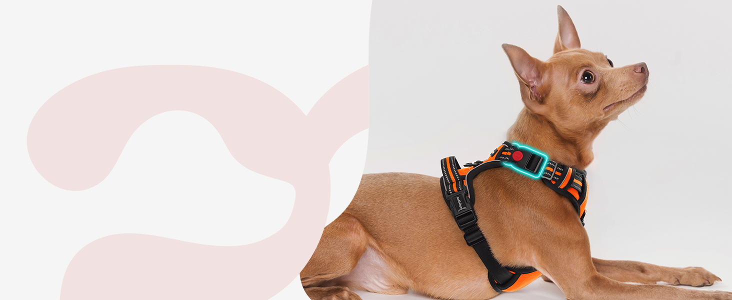 Нашийник для собак Rabbitgoo великих порід, регульований, анти-тяга, з ручкою, м'який, світловідбиваючий, помаранчевий, L (1 шт.)