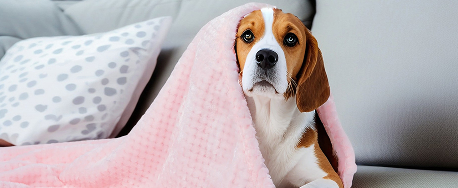 SLSON Деки для собак та котів, м'які двосторонні, 70x100 см (блакитний та рожевий)