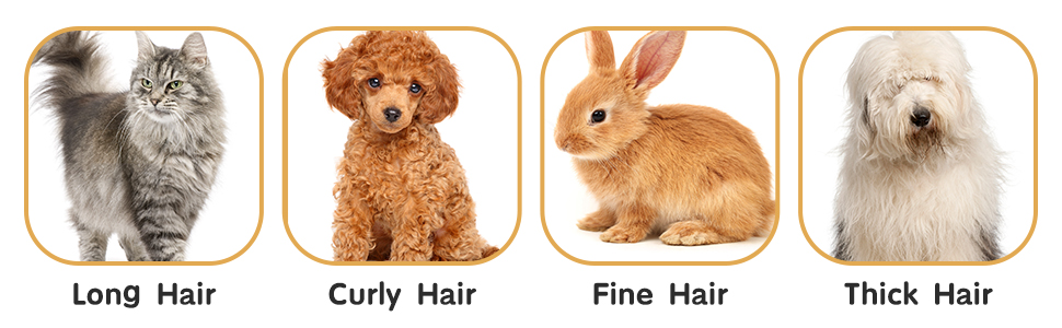 Електрична машинка для стрижки собак та котів, професійна, бездротова, акумуляторна, золота