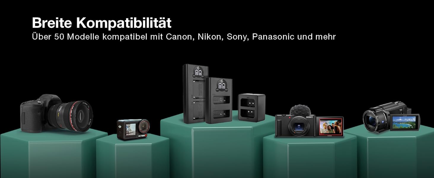 Зарядний пристрій CELLONIC DMW-BLF19 для Panasonic GH5/GH5s/GH4/GH3 Lumix: Двоканальний, з USB кабелем