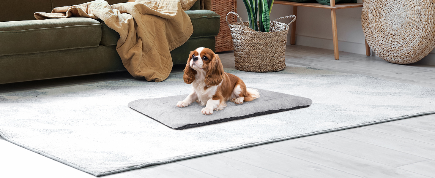 Крісло-ліжко для собак середніх порід Baodan, 90x60 см, сіре, з антиковзною основою