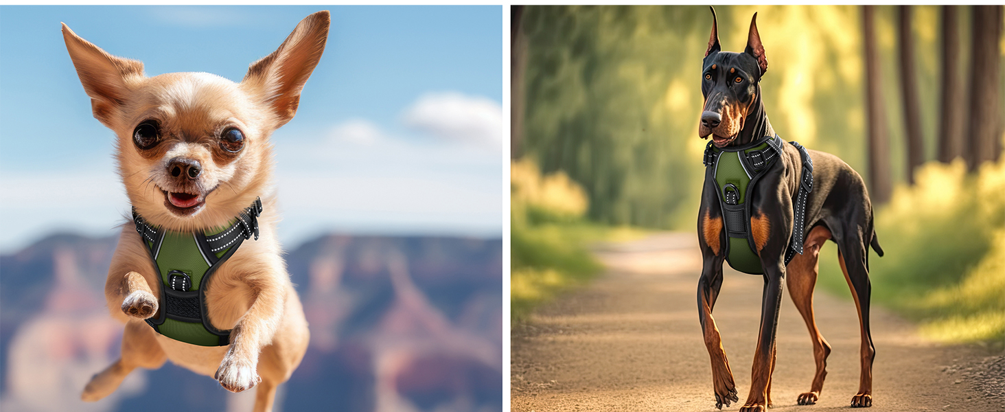 Шлейка для собак без натягу та задухи, дихаюча та м'яка, світловідбиваюча | No-Pull шлейка з кишенькою для відходів | Регульована шлейка з ручкою - (L, Хакі)