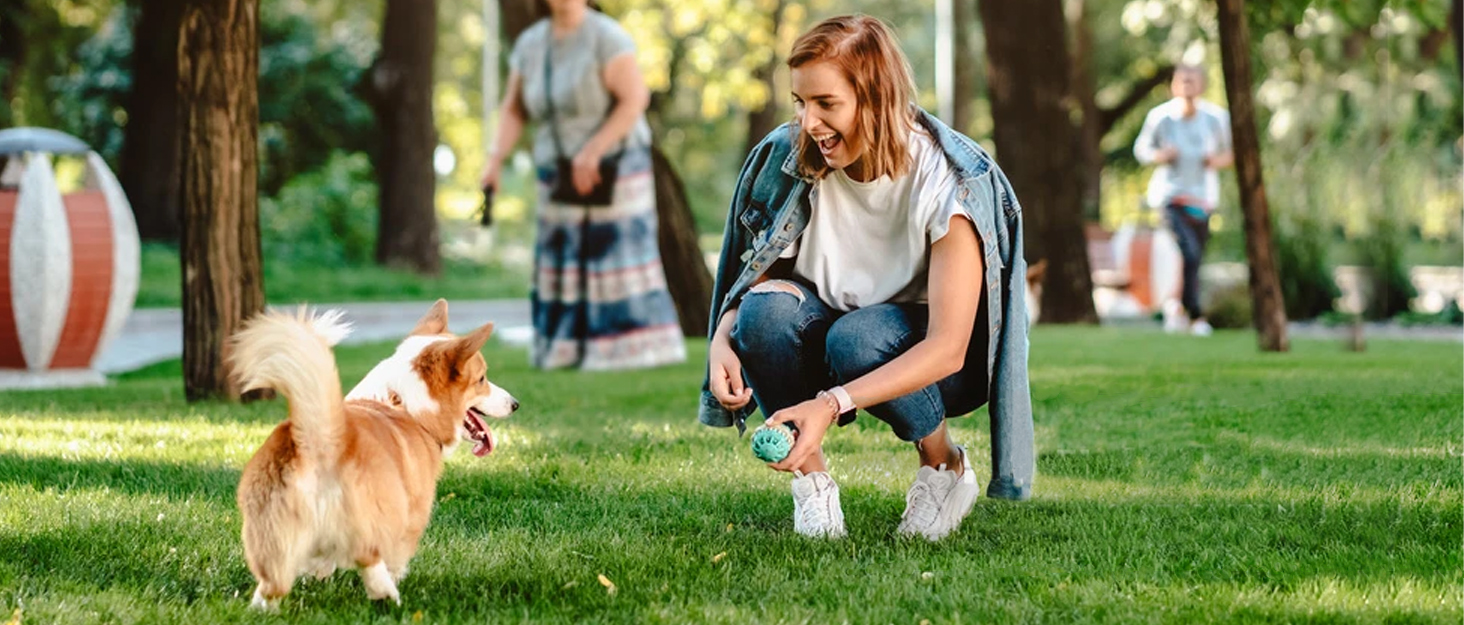 Висувна поводок для собак Taglory, 5м, рожевий, для середніх та великих собак до 45 кг, з надійним гальмом та антиковзним ручками