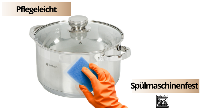 Danik Standard Stainless Steel Cooking Pot with Glass Lid, 20 cm, 4 Liters, Soup Pot/Noodle Pot/Pasta Pot, Silver