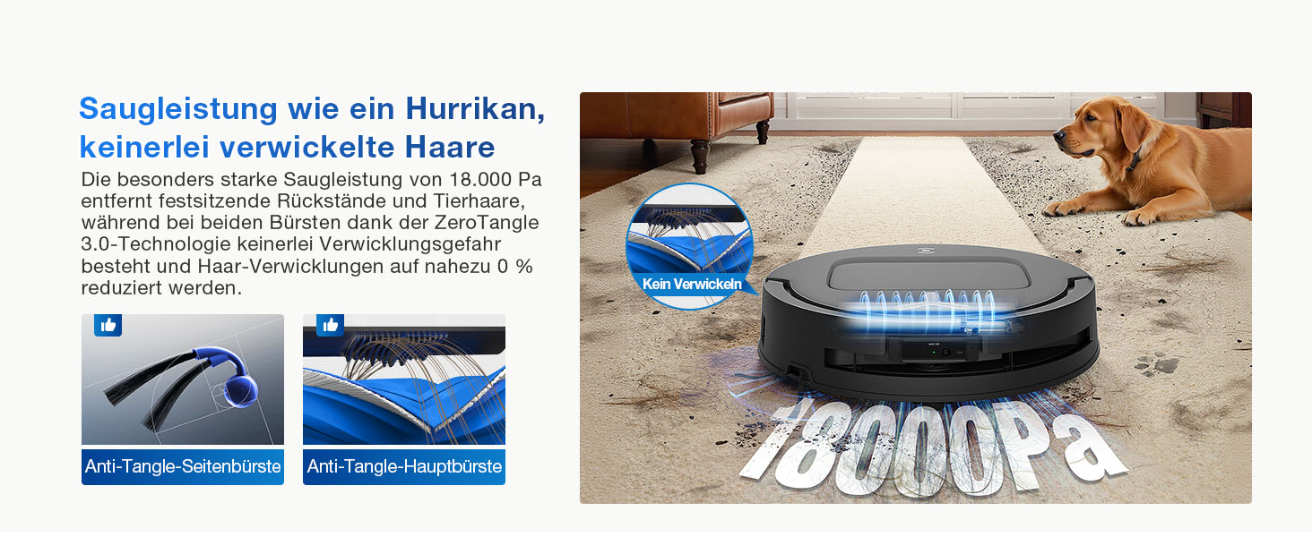 Робот-пилосос ECOVACS DEEBOT T80 Omni з функцією миття підлоги, 18000 Па, OZMO Roller, автоматичне миття моп, ZeroTangle 3.0, миття гарячою водою 40-75°C, чорний