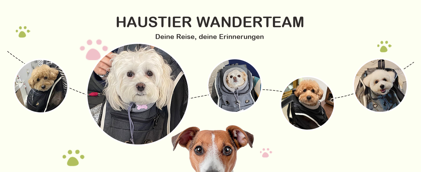 Рюкзак-переноска для собак та котів ALLSOPETS: зручний та дихаючий рюкзак для подорожей з великими котами та маленькими собаками (Світло-сірий)