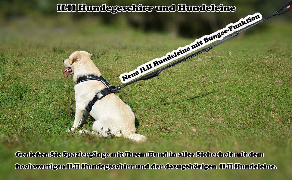 Нашийник для собак ILII Y - міцний, елегантний та комфортний. Унікальний дизайн для середніх та великих собак. Чорний, мінімальне покриття