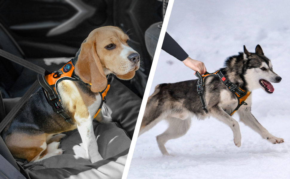 Шлейка для собак PHOEPET з регулюванням, для прогулянок, з карабіном, світловідбиваючими смугами, ручкою для контролю, великі та середні породи собак (L, помаранчевий)