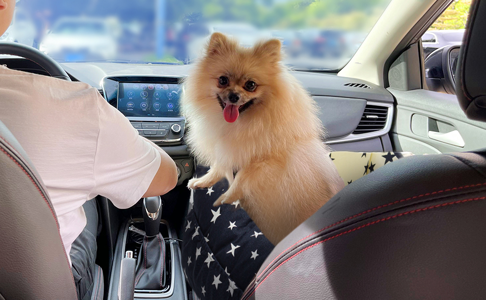 Автокрісло для собак маленьких порід, миється, стійке до плям. Зручне автокрісло для маленьких собак, безпечне, з високоякісного матеріалу та кишеню для зберігання. Супер м'яка бавовна PP, комфортне (Бежевий, Medium)