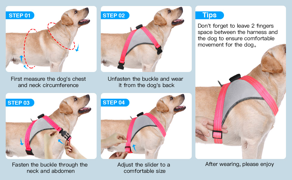 LED нашийник для собак ChalkLit, світлодіодна шлейка для собак, безпечний нашийник для нічних прогулянок (Синій, L)