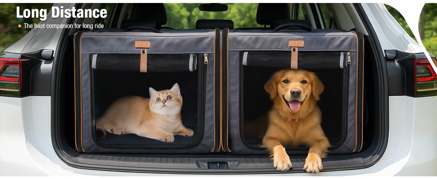 Транспортна переноска для собак та котів середнього розміру, 2-в-1, блакитна