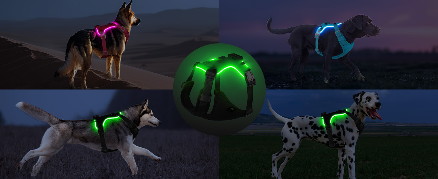 Світловідбиваючий нашийник для собак великих порід з LED-підсвічуванням, акумуляторний, регульований, 3 режими освітлення, висока видимість (Рожевий, Large)