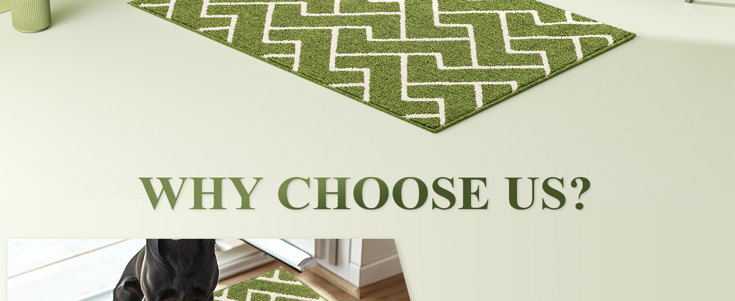 Килимок для дому чорного кольору 50 x 80 см, вологостійкий, антиковзаючий. Підходить для входу, коридору, саду, дому, тварин.