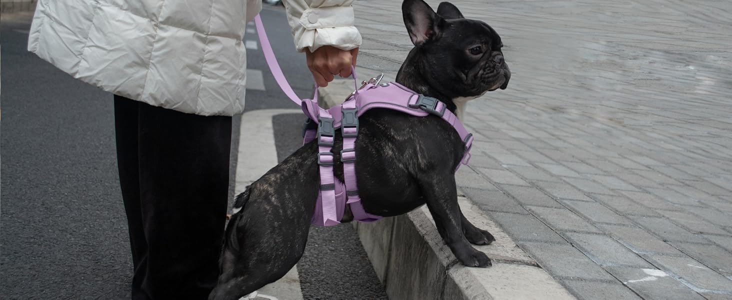 Нашийник для собак з повідком, безпечний нашийник від виривання, анти-тяга, нашийник для собак з ручкою та світловідбиваючими елементами, легкий, регульований, для середніх собак (XS) (Дуже маленький, фіолетовий)