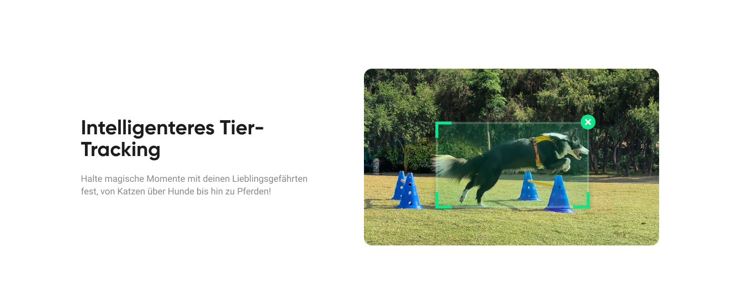 Insta360 Flow 2 Gray – Стабілізатор для смартфонів, Gimbal з AI-tracking, вбудований штатив/селфі-стік, пульт дистанційного керування, для iPhone/Android, сірий, Flow 2