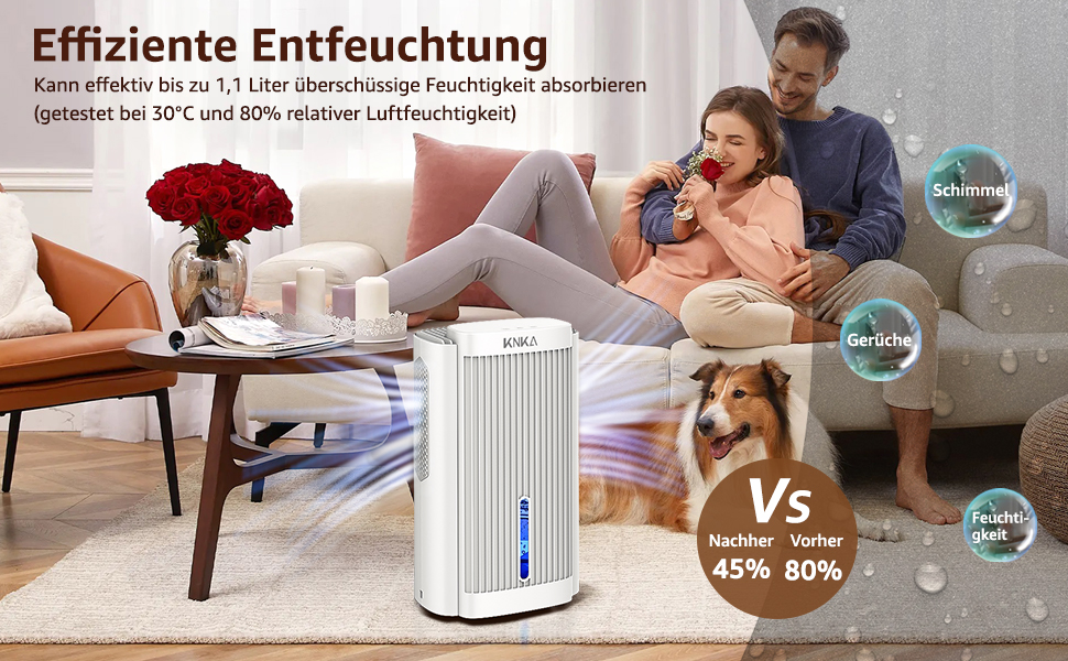 Електричний осушувач повітря KNKA, 1.1 л, тихий (28dB), для дому, ванної, підвалу, з автовимкненням та нічним режимом, кольорове нічне підсвічування (білий)